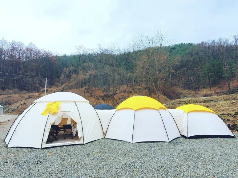 플라워플라이 이미지