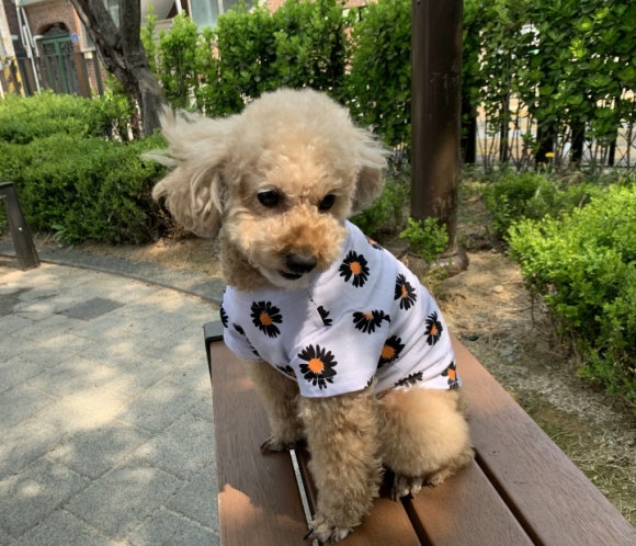 호치민칼디커피 이미지