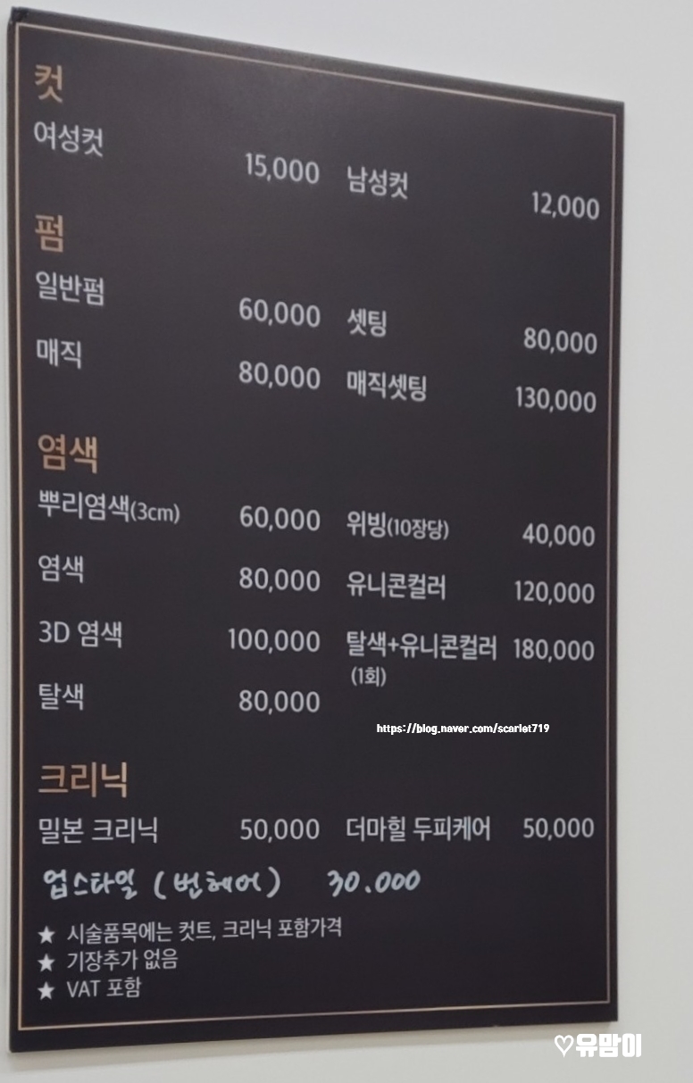 마레헤어 이미지
