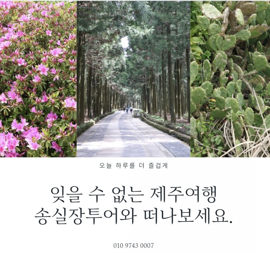 친절한송실장투어(힐링앤제주) 이미지