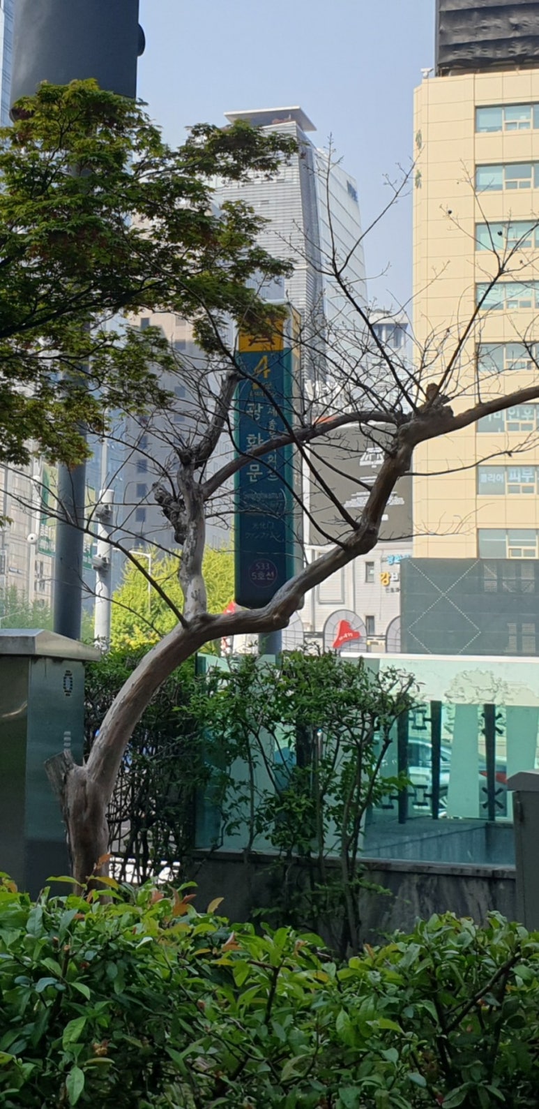 리나스 광화문점 이미지