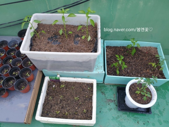 중앙농약사 이미지
