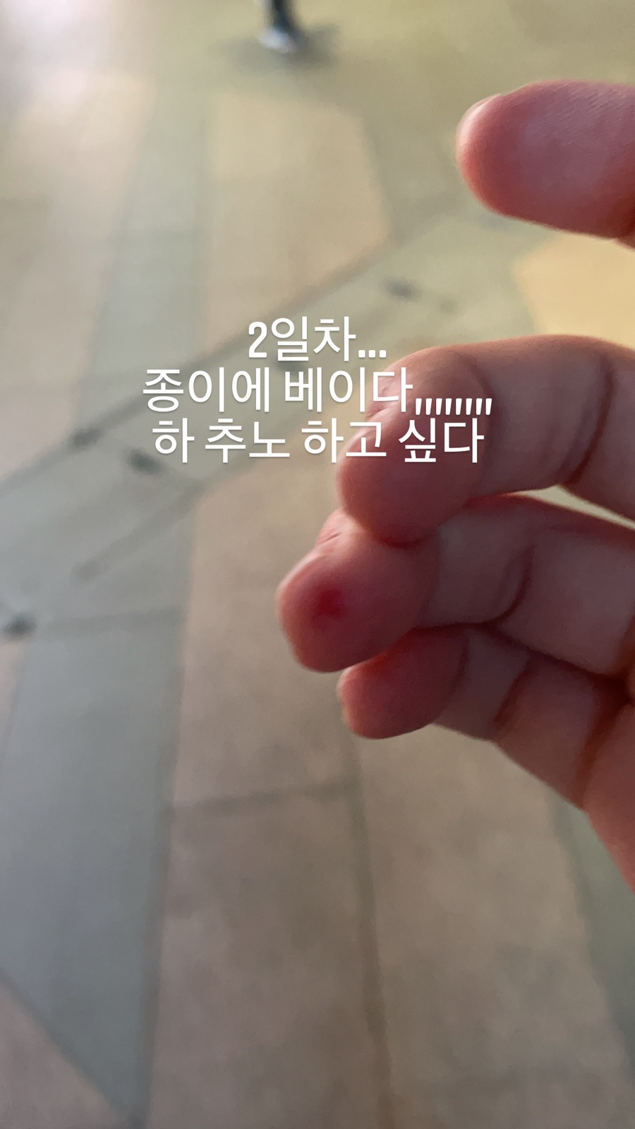 카페일육삼 이미지