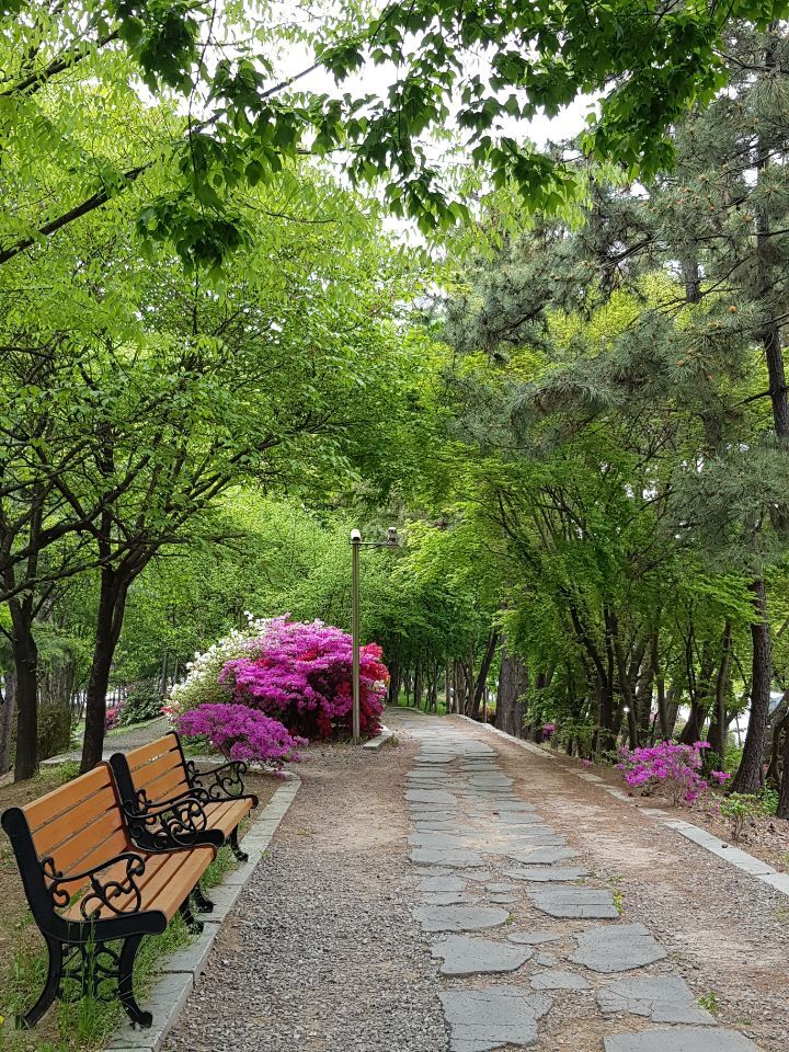 오늘도 행복하자 이미지