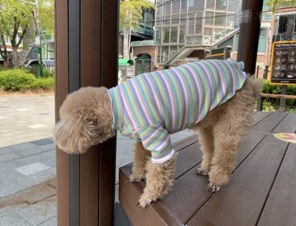 호치민칼디커피 이미지