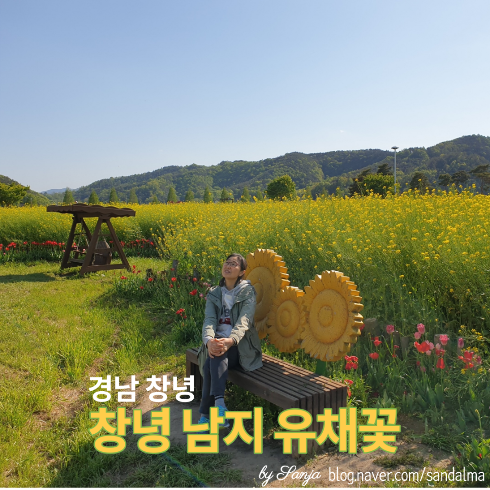 유채메밀소바 이미지