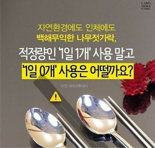 나무와쉬리 이미지