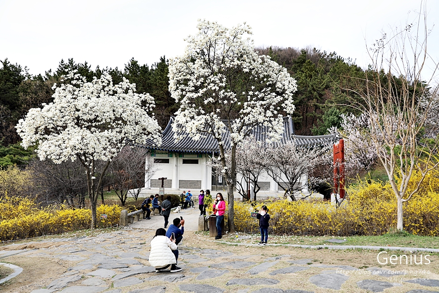 우암조경 이미지