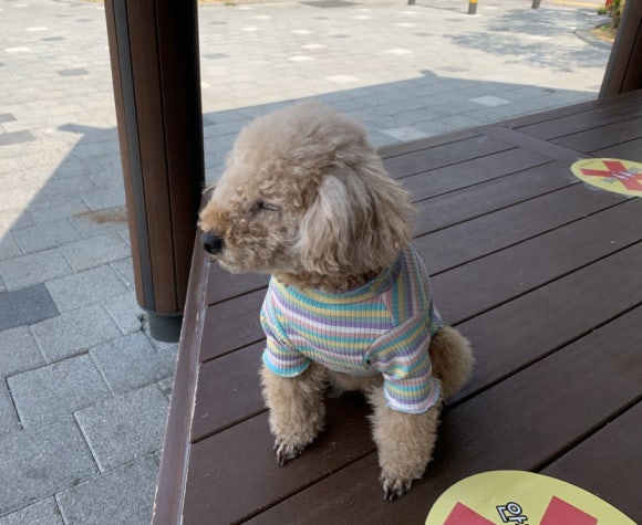 호치민칼디커피 이미지