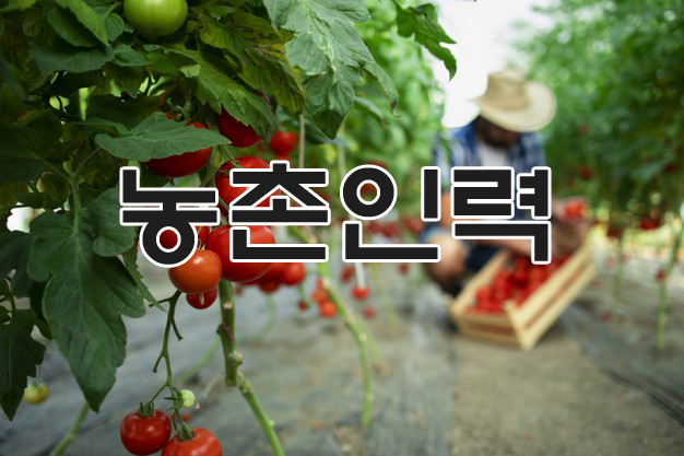 한양인력케어센터 이미지