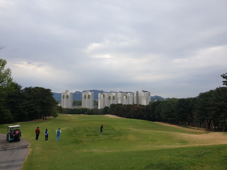 대영그린조경 이미지