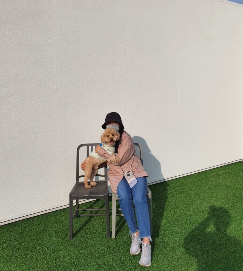 파크드 이미지