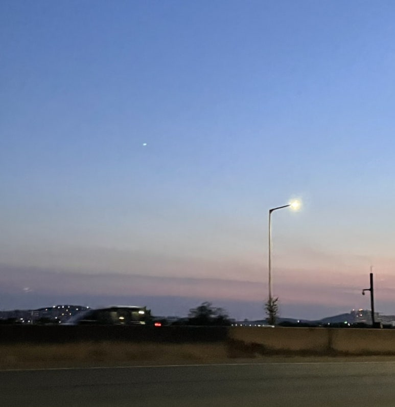 도린 이미지