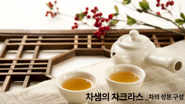 차샘정읍 이미지