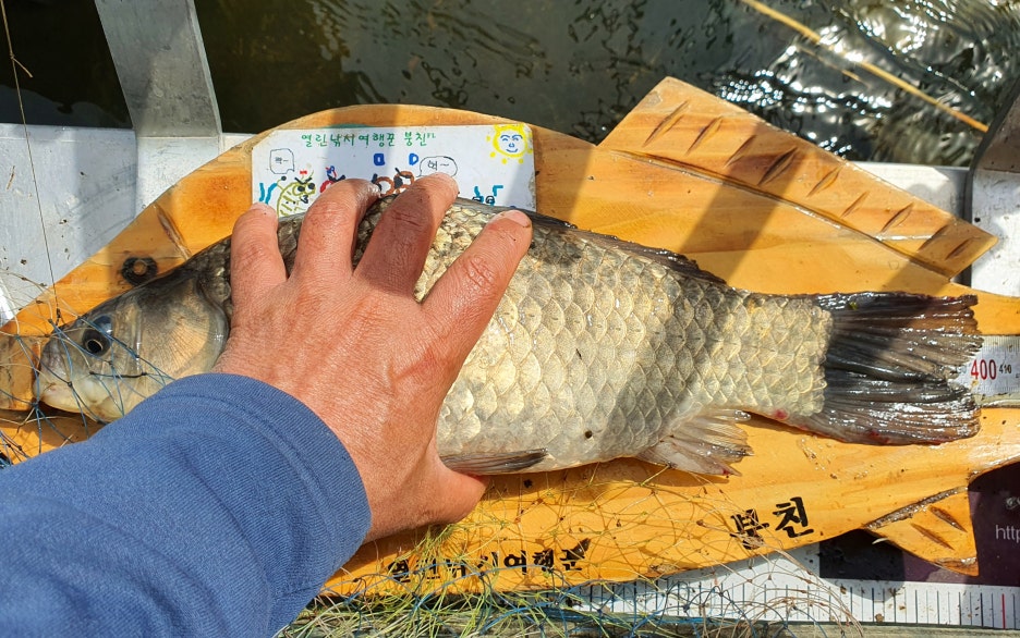 대호통신 이미지