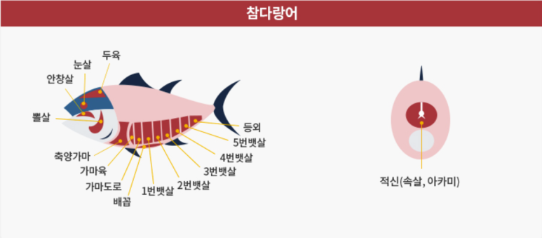 차이튜나참치 이미지