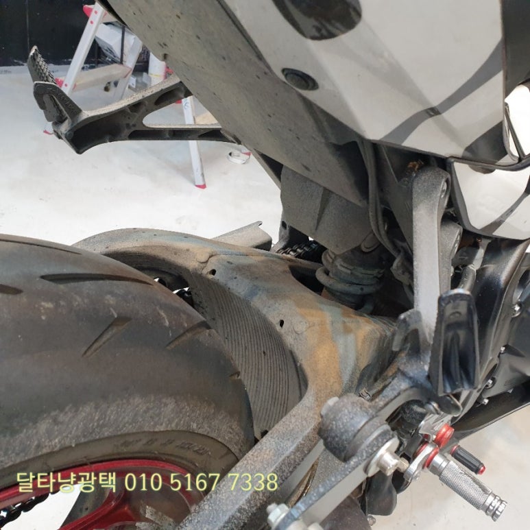 달타냥광택 이미지