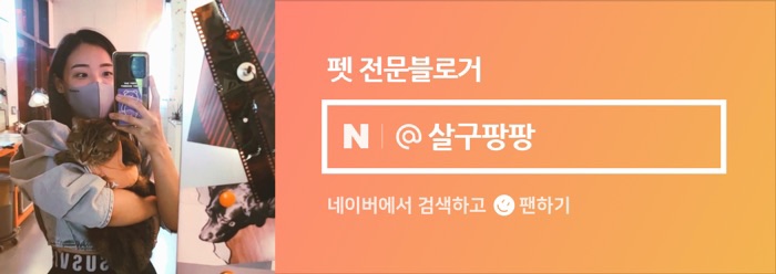 리폼사 이미지