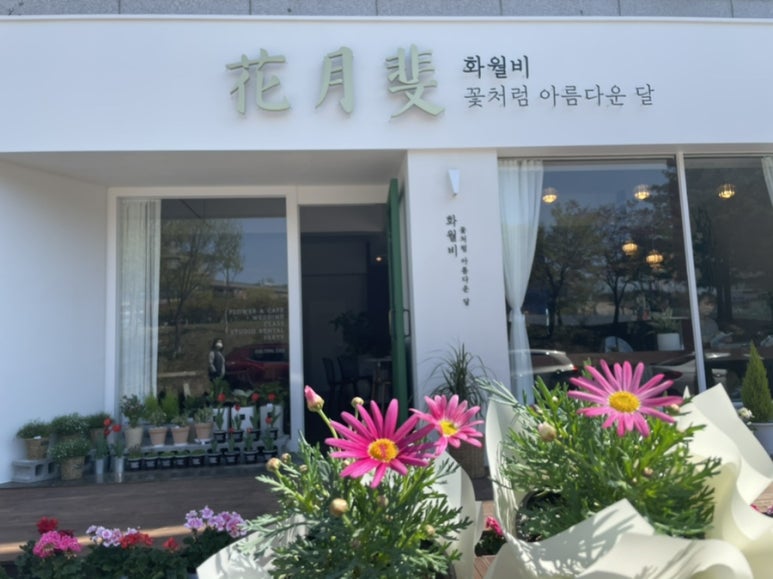 화월비 이미지