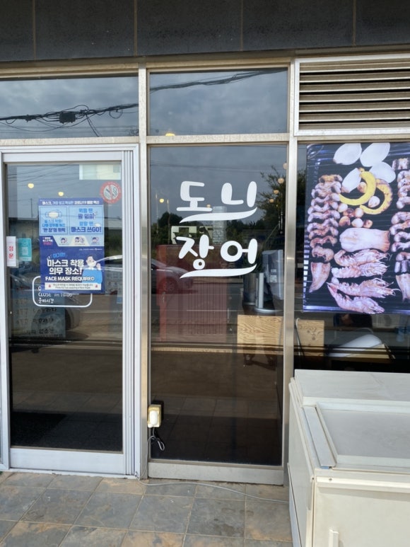 도니장어 사진 4