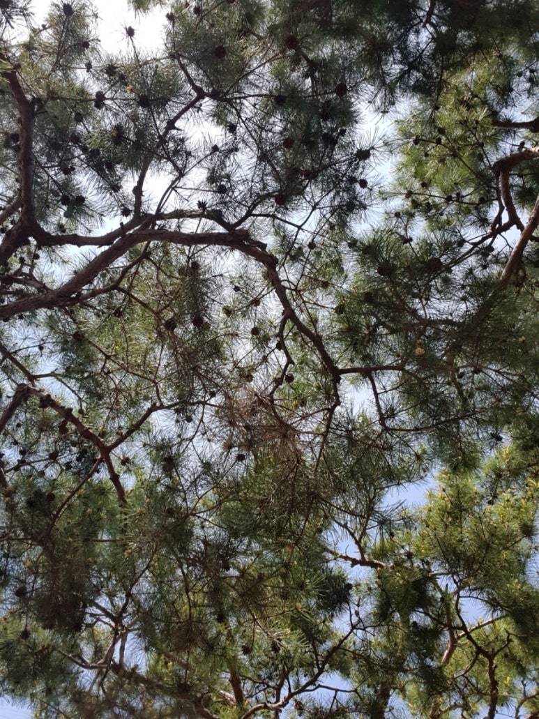 중앙세차장 이미지