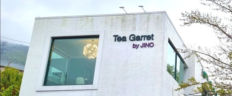 티가렛바이지노 이미지