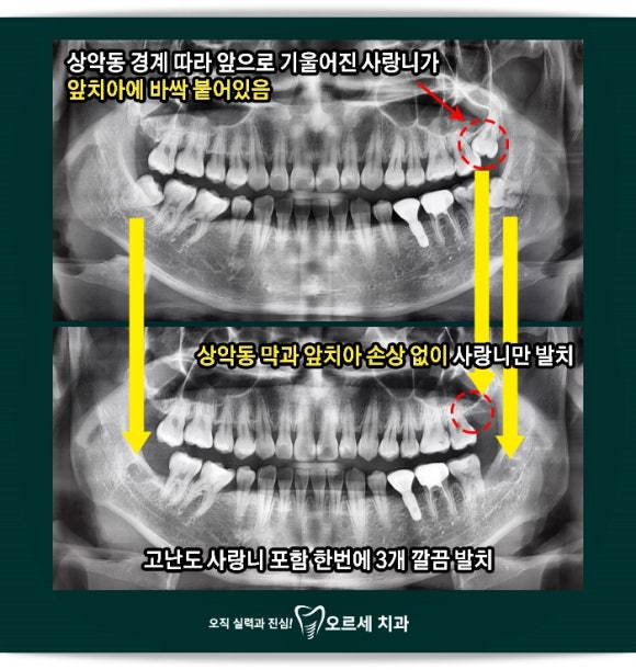 오르세치과의원 이미지
