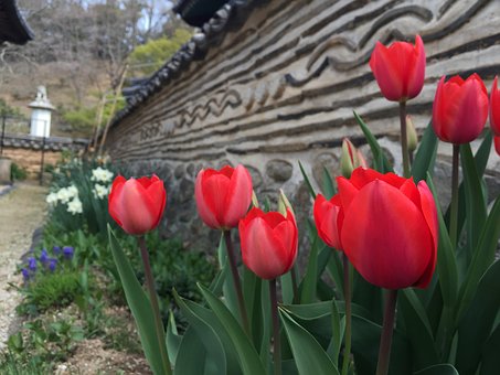 종로사 이미지