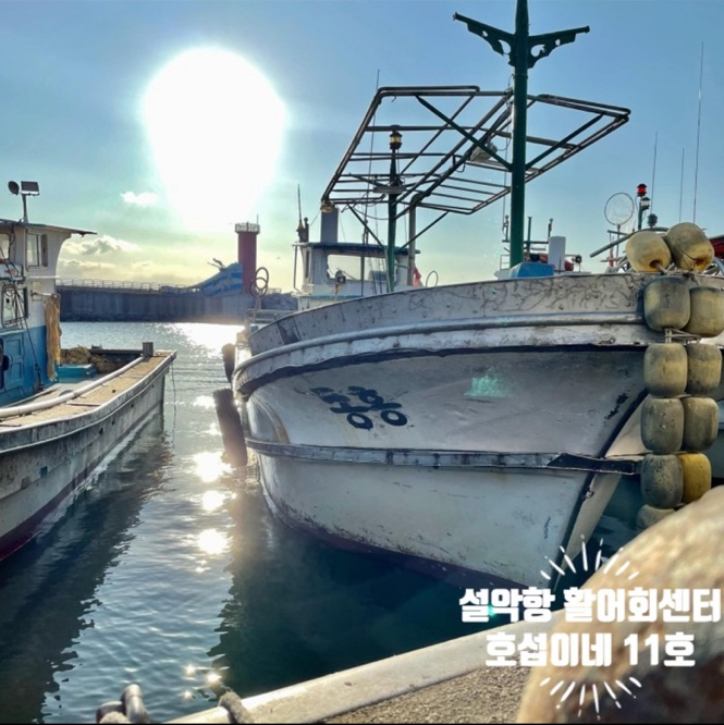 호섭이네(동흥호) 이미지
