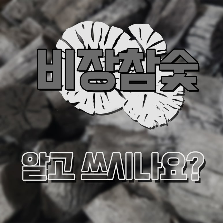 숯 이야기 이미지