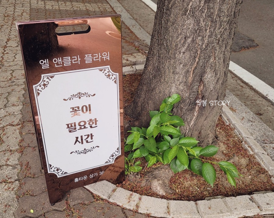 엘앤클라 이미지