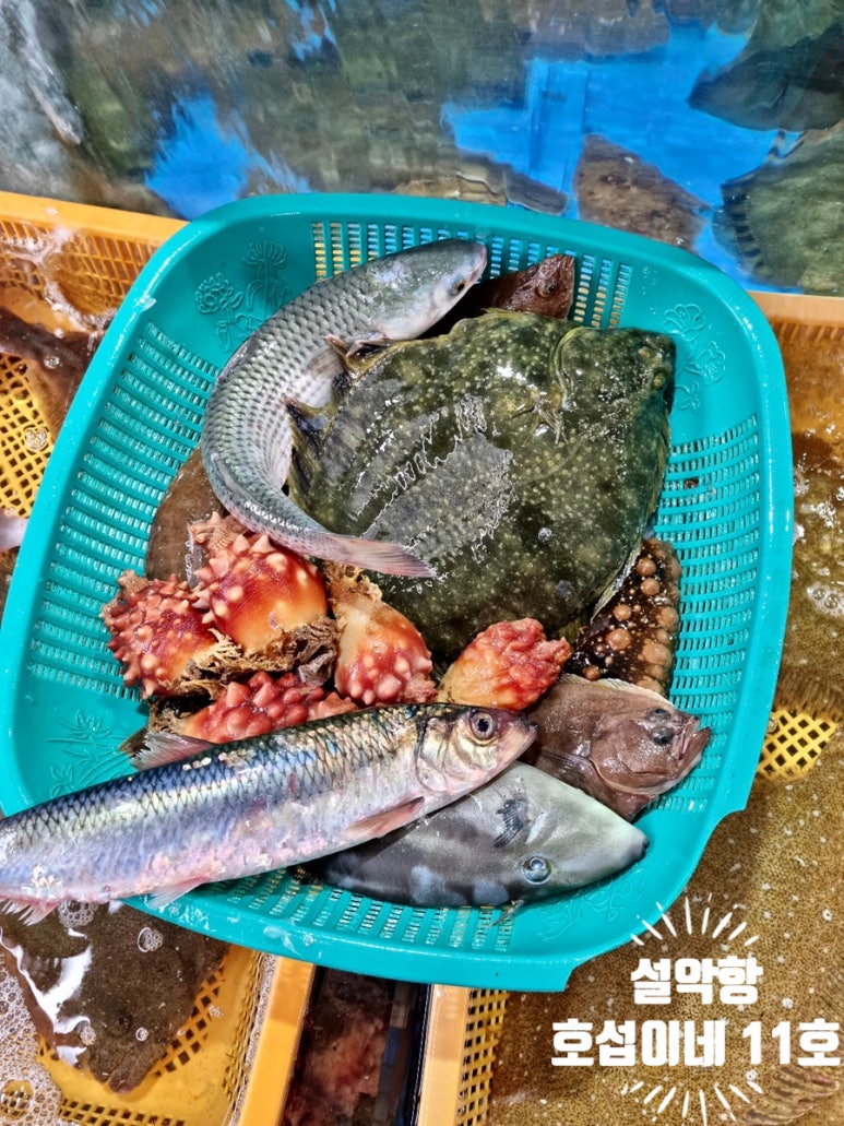 호섭이네(동흥호) 이미지