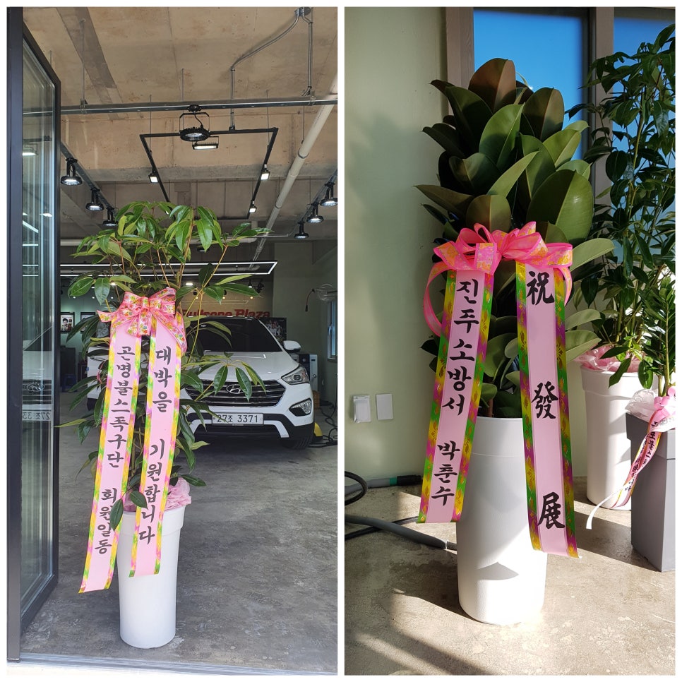 불스원프라자경남지사진주 이미지