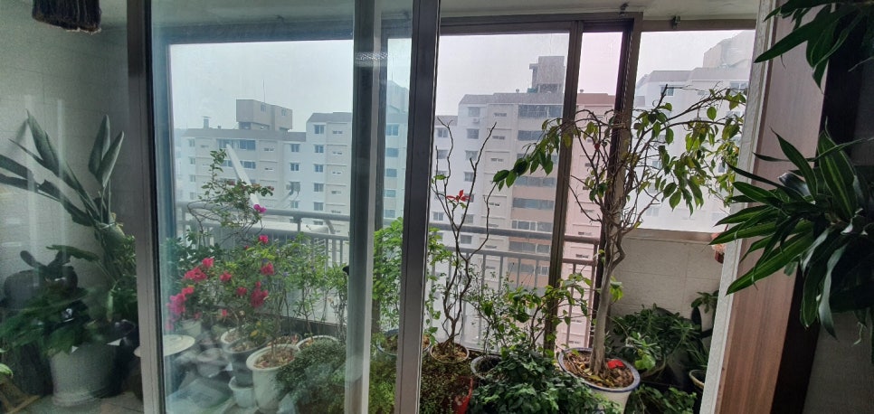 국제샷시 이미지