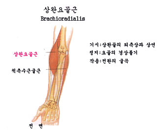 티에스짐 이미지