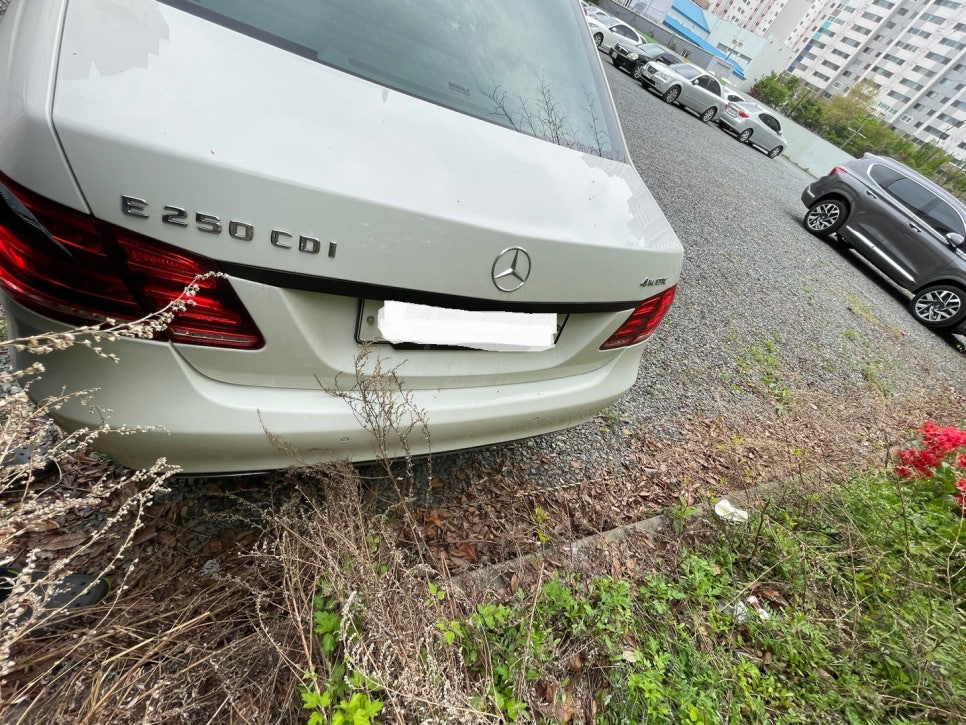 쌍둥이카센타 이미지