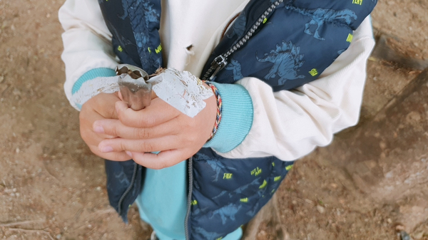 오늘의맘찬 이미지