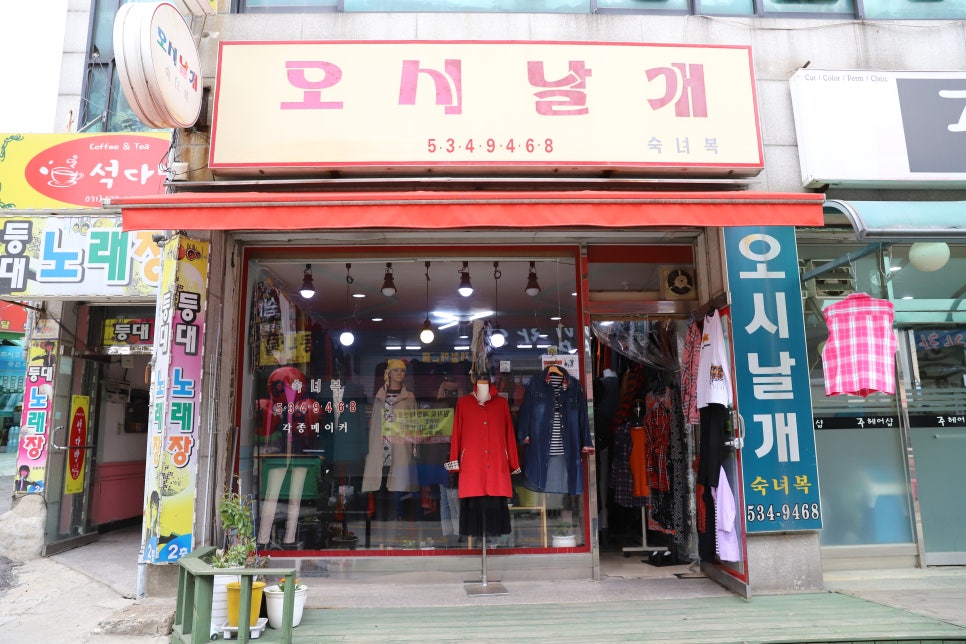 오시날개 이미지