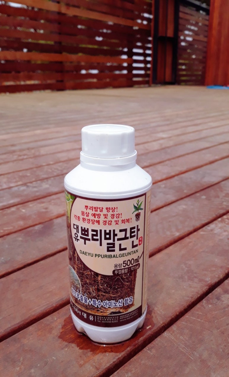 루라정원 이미지