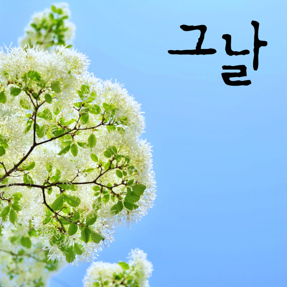 주식회사 컬쳐팩토리아지트 이미지