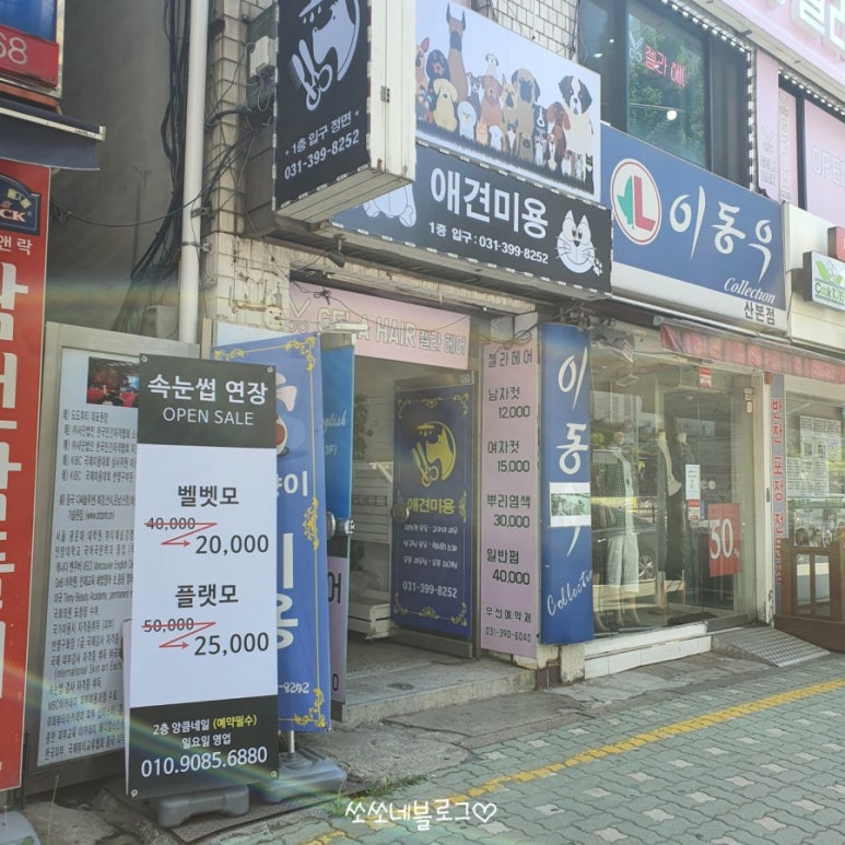 이동우콜렉션 이미지