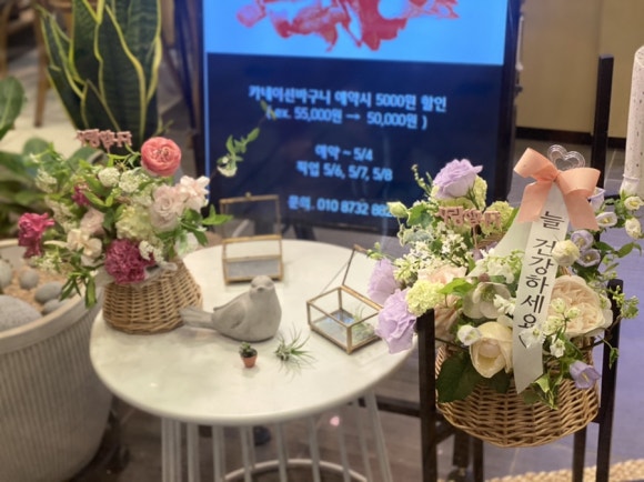 고려원예수련 이미지