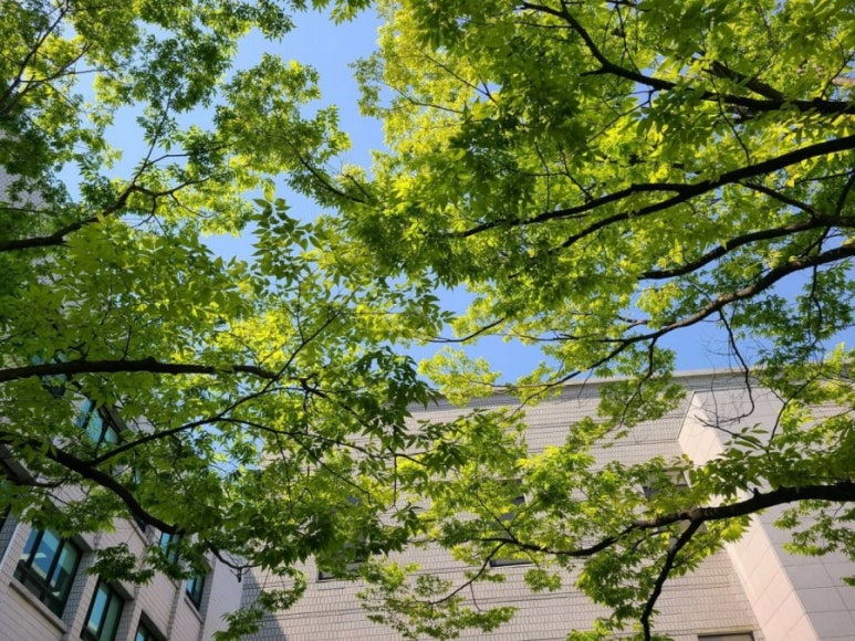 유노경매스쿨 이미지