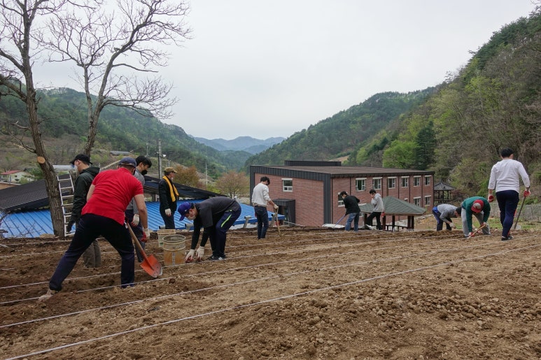 산촌식품 이미지
