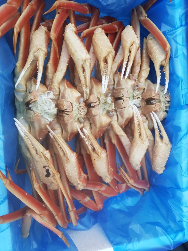 강동수산 이미지