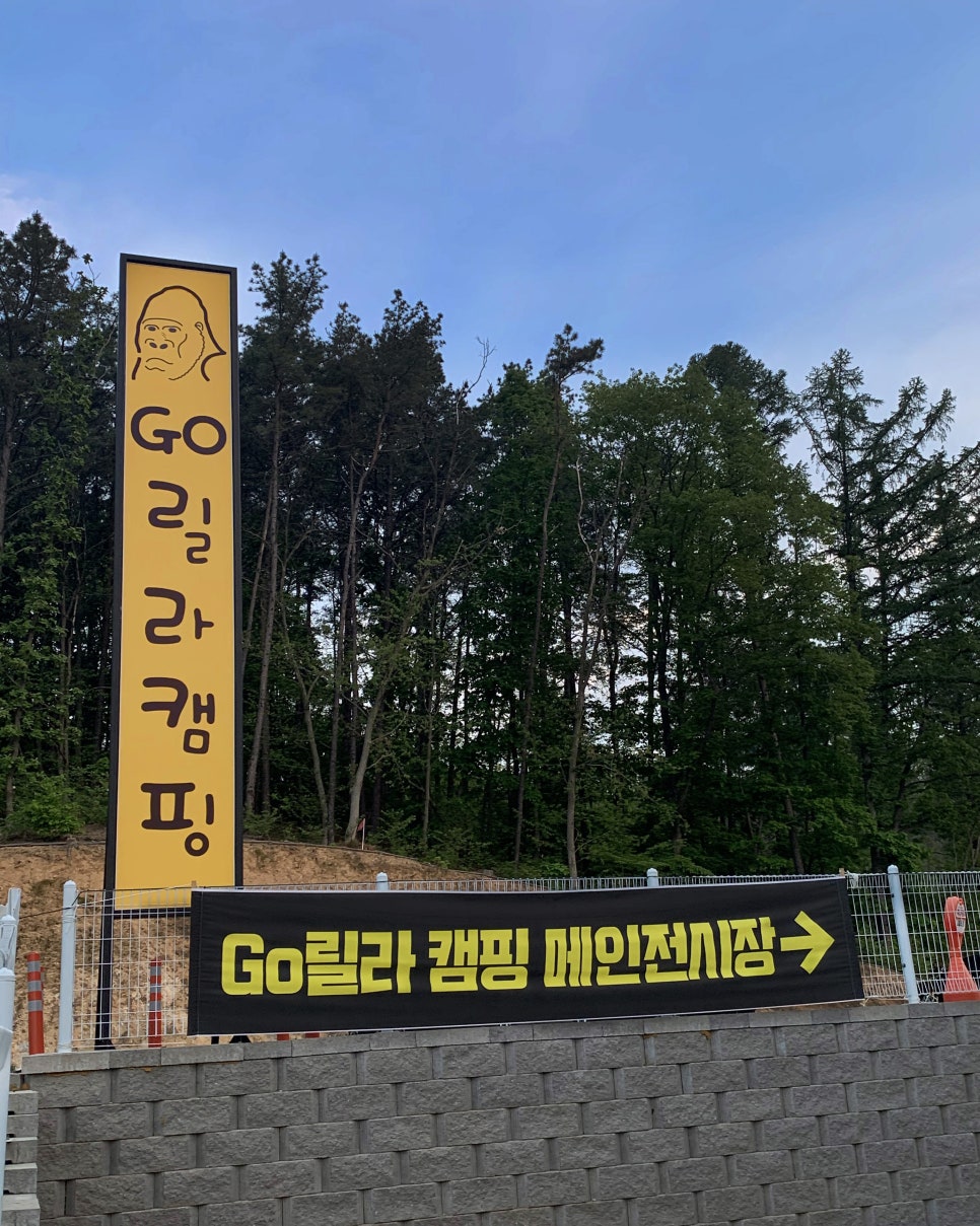 창고릴라 이미지