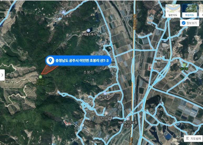공주밤나무 이미지