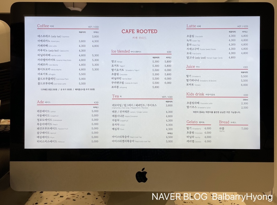 루티드(Rooted) 이미지