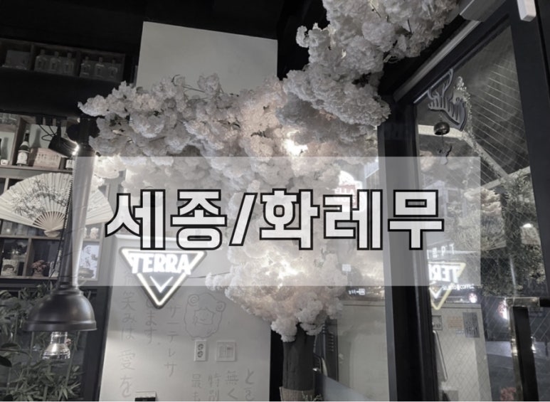 화레무 세종도담점 이미지