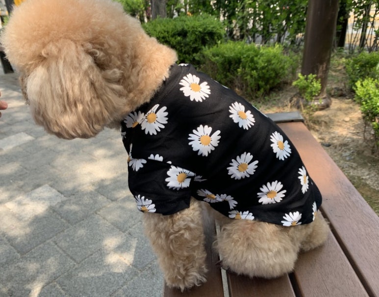호치민칼디커피 이미지